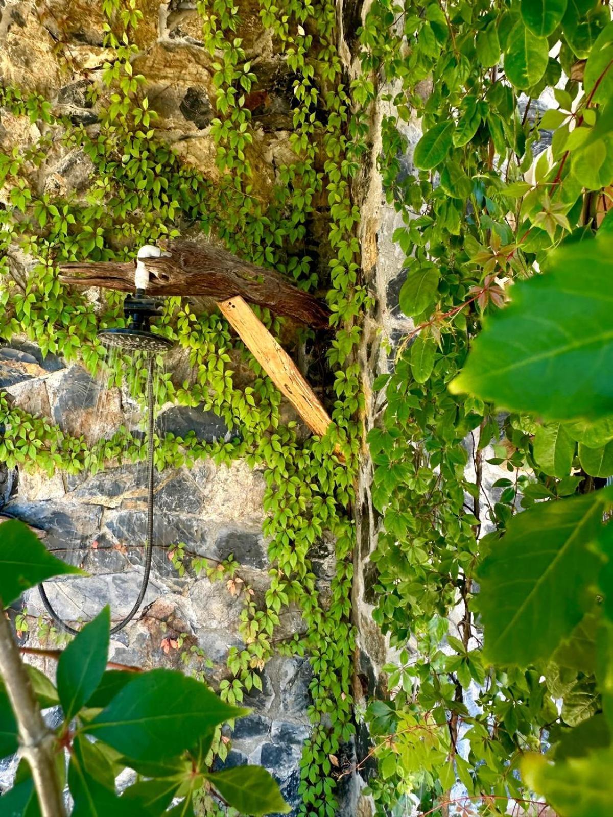 Casa Jasmin Bed & Breakfast Troncones Luaran gambar